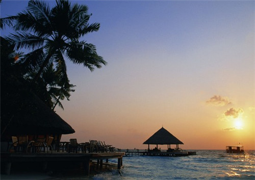 极限鸡客鸡排炸鸡