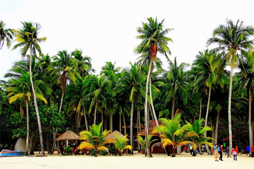 有家面馆加盟费多少钱