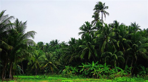 重庆100平火锅店设计