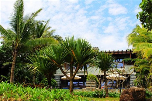 日本好奶茶店有哪些，日本好奶茶店