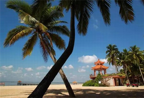 炒番茄土豆卷心菜怎么炒（番茄卷心菜土豆汤）