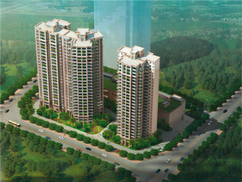 肝功免疫查什么（免疫肝肝功能指标）