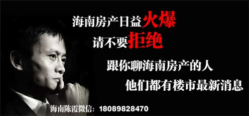 张晓磊最火文章（张晓磊近况）