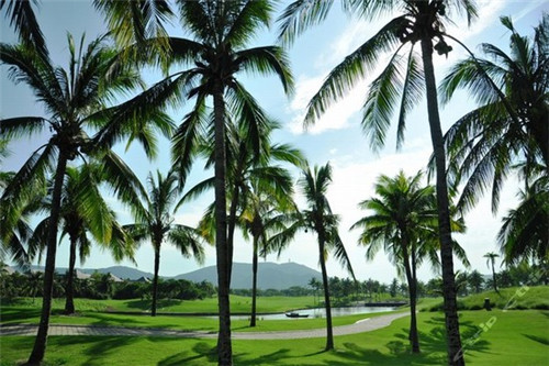 田李村美食推荐（田村附近的饭店）